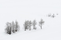 Beatrice-Verschaeren-Perdus-dans-la-neige