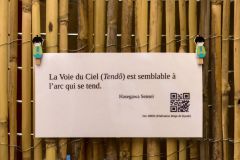 dscf1590