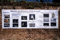 dscf1648